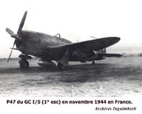 31 P47 Thunderbolt de la 1ère escadrille du GC 1/5 " Champagne"