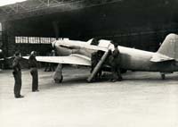 29. Yak 3 en France avec la Croix de Lorraine