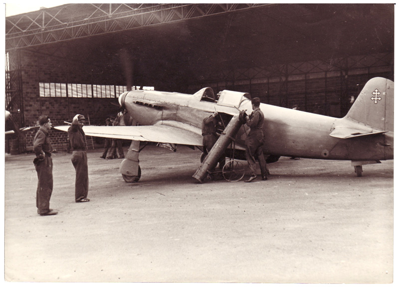 Jak3 du NN après 1945 en France