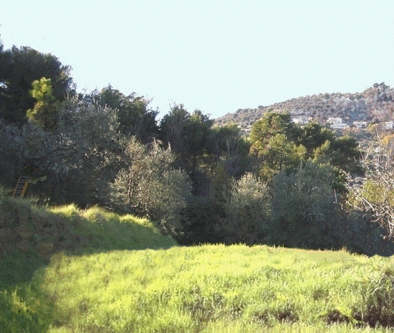 "Une"  VILLA ANTONIO TORRISI 